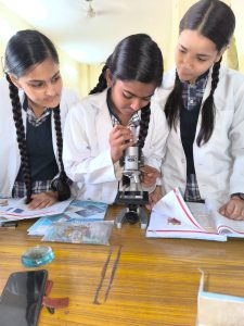 WhatsApp Image 2024-10-21 at 11.56.32 AM (1)